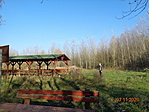 DSC06101