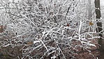 20201220_090011