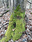20201231_112549