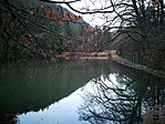 IMG_20201231_072103