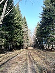 IMG_20201227_105927