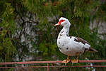 _DSC2647