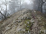 Dombocska