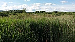20200611_171528