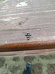 IMG_20201229_143348