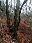 IMG_20201219_134846