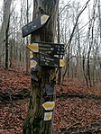 IMG_20201219_135500