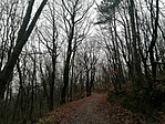 IMG_20201219_135904