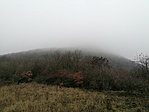 IMG_20201219_140134