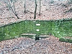 IMG_20201219_141814