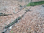 IMG_20201219_141856
