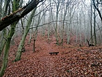 IMG_20201219_141936