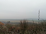 IMG_20201220_083935