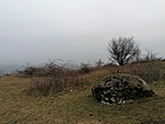 IMG_20201220_084038