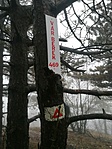 IMG_20201220_120048