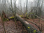 IMG_20201220_121115