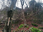 IMG_20201220_124501