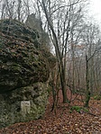 IMG_20201220_124812