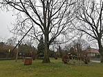 IMG_20201230_102955