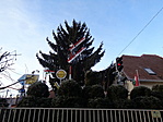 DSC08543