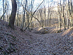 DSC08605