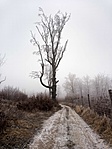 IMG_20201228_122801_082