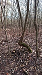 IMG_20201229_131353