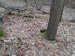 IMG_20201227_113900