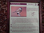 IMG_20201227_143453