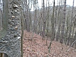 IMG_20201227_153552