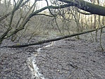 IMG_20201229_131109