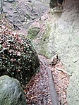 IMG_20201220_095348