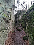 IMG_20201220_113252