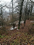 IMG_20201220_143448