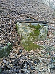 IMG_20201205_145237