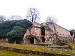 IMG_20201212_185227