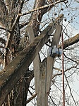IMG_20201130_105609
