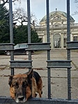 IMG_20201130_094611