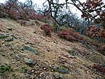 IMG_20201212_141727