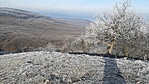 20201202_095810