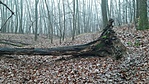 20201215_081901