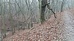 20201215_090132