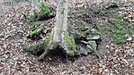 20201215_094416