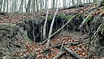 20201215_094651