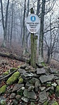 20201219_093526