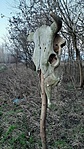 20201229_160319