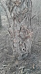 20201229_160035