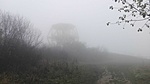 IMG_20201119_092825