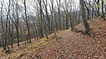 IMG_20201120_113237