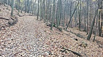 IMG_20201120_115222